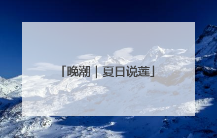 晚潮｜夏日说莲