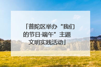 普陀区举办“我们的节日·端午”主题文明实践活动