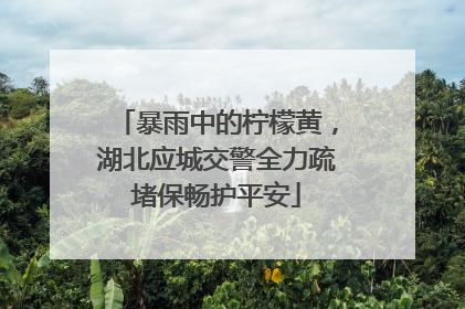 暴雨中的柠檬黄，湖北应城交警全力疏堵保畅护平安