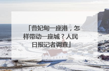 曹妃甸一座港，怎样带动一座城？人民日报记者调查