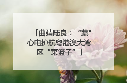 曲靖陆良：“蔬”心电护航粤港澳大湾区“菜篮子”