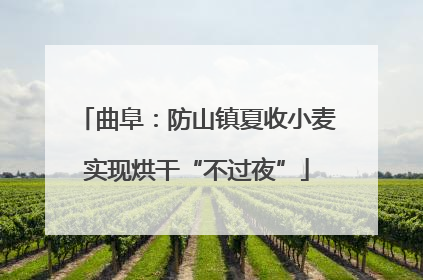 曲阜：防山镇夏收小麦实现烘干“不过夜”