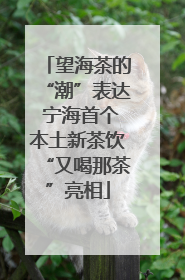 望海茶的“潮”表达 宁海首个本土新茶饮“又喝那茶”亮相
