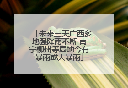 未来三天广西多地强降雨不断 南宁柳州等局地今有暴雨或大暴雨
