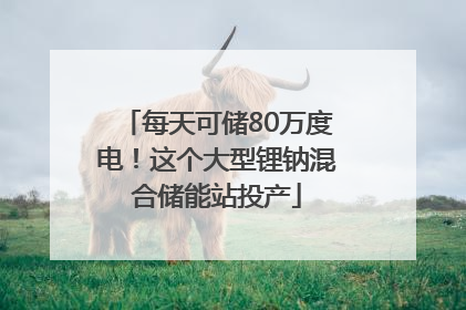每天可储80万度电！这个大型锂钠混合储能站投产