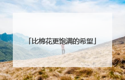 比棉花更饱满的希望