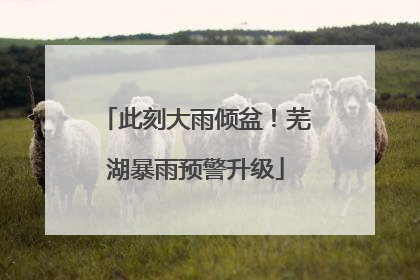 此刻大雨倾盆！芜湖暴雨预警升级
