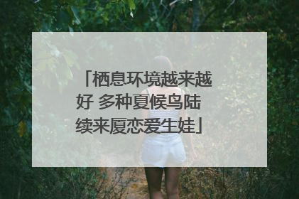 栖息环境越来越好 多种夏候鸟陆续来厦恋爱生娃