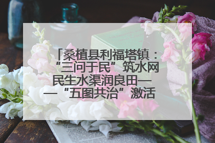 桑植县利福塔镇：“三问于民”筑水网 民生水渠润良田——“五图共治”激活基层治理新动能