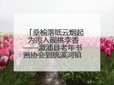 桑榆落纸云烟起 为霞入砚桃李香——溆浦县老年书画协会到统溪河镇学校开展书画进校园活动