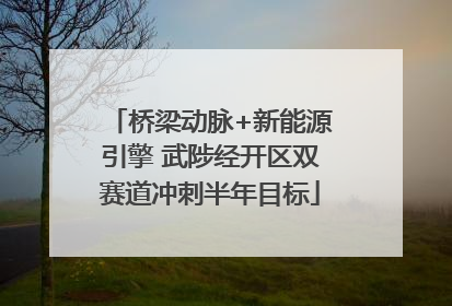 桥梁动脉+新能源引擎 武陟经开区双赛道冲刺半年目标