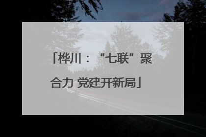 桦川：“七联”聚合力 党建开新局