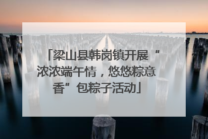 梁山县韩岗镇开展“浓浓端午情，悠悠粽意香”包粽子活动