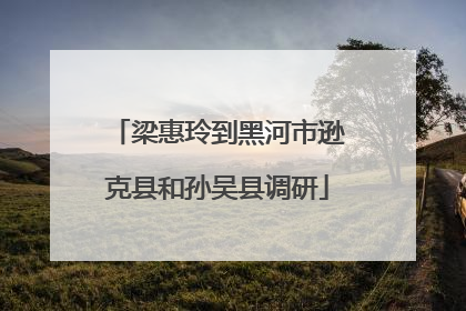 梁惠玲到黑河市逊克县和孙吴县调研