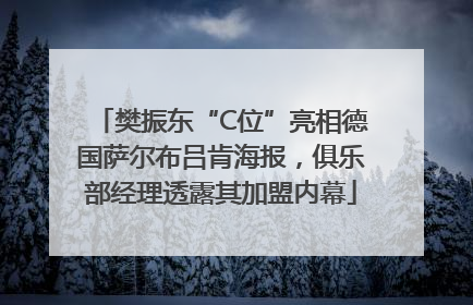 樊振东“C位”亮相德国萨尔布吕肯海报，俱乐部经理透露其加盟内幕