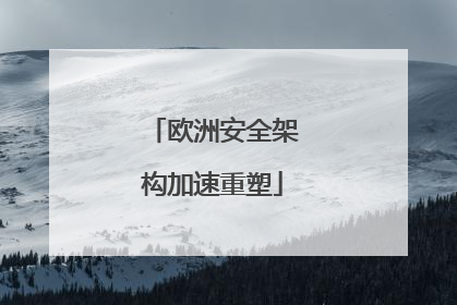 欧洲安全架构加速重塑
