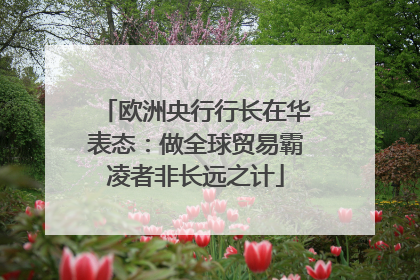 欧洲央行行长在华表态：做全球贸易霸凌者非长远之计