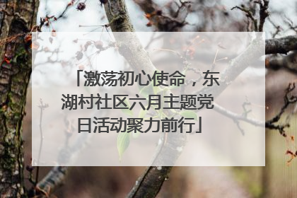 激荡初心使命，东湖村社区六月主题党日活动聚力前行