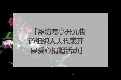 潍坊寒亭开元街道组织人大代表开展爱心捐赠活动