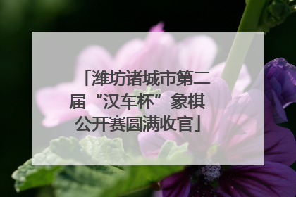 潍坊诸城市第二届“汉车杯”象棋公开赛圆满收官