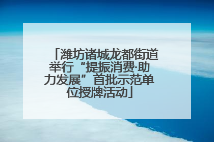 潍坊诸城龙都街道举行“提振消费·助力发展”首批示范单位授牌活动