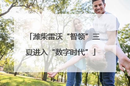 潍柴雷沃“智领”三夏进入“数字时代”