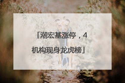 潮宏基涨停，4机构现身龙虎榜