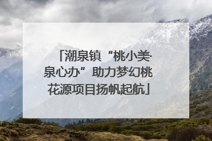 潮泉镇“桃小美·泉心办”助力梦幻桃花源项目扬帆起航