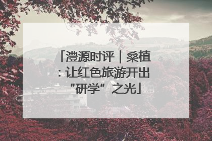 澧源时评｜桑植：让红色旅游开出“研学”之光