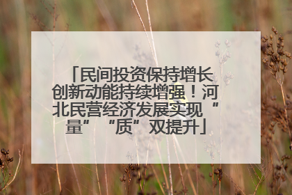 民间投资保持增长 创新动能持续增强！河北民营经济发展实现“量”“质”双提升