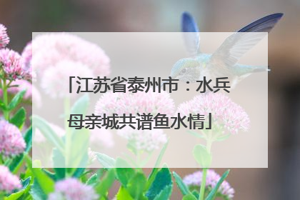 江苏省泰州市：水兵母亲城共谱鱼水情