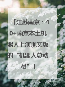 江苏南京：40+南京本土机器人上演现实版的“机器人总动员”