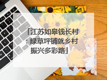 江苏如皋钱长村：绿草坪铺就乡村振兴多彩路