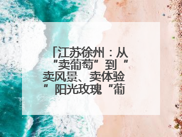 江苏徐州：从“卖葡萄”到“卖风景、卖体验”阳光玫瑰“葡”就致富路