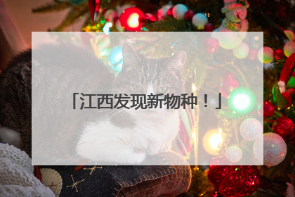 江西发现新物种！