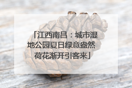江西南昌：城市湿地公园夏日绿意盎然 荷花渐开引客来