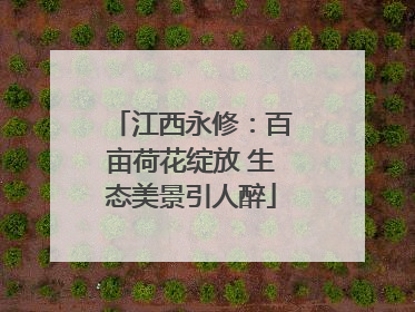 江西永修：百亩荷花绽放 生态美景引人醉