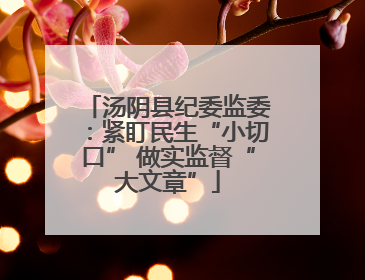 汤阴县纪委监委：紧盯民生“小切口” 做实监督“大文章”