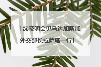 沈晓明会见马达加斯加外交部长拉萨塔一行