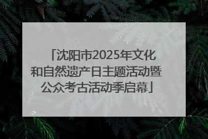 沈阳市2025年文化和自然遗产日主题活动暨公众考古活动季启幕
