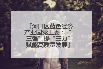 河口区蓝色经济产业园党工委：“三强”提“三力”赋能高质量发展