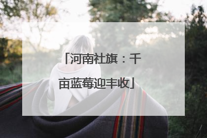 河南社旗：千亩蓝莓迎丰收