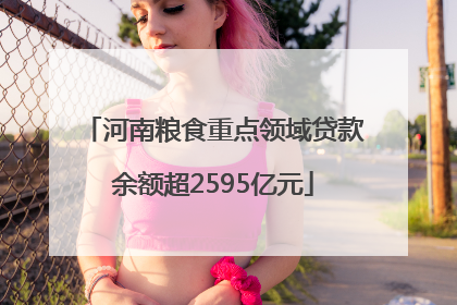 河南粮食重点领域贷款余额超2595亿元