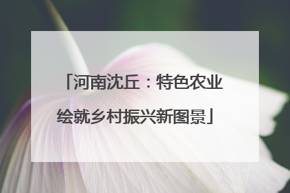 河南沈丘：特色农业绘就乡村振兴新图景