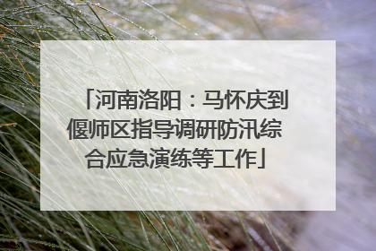 河南洛阳：马怀庆到偃师区指导调研防汛综合应急演练等工作