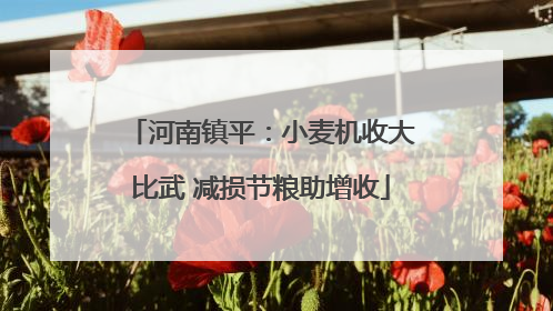 河南镇平：小麦机收大比武 减损节粮助增收