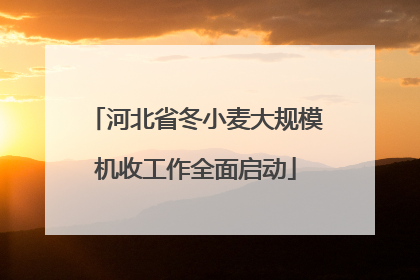 河北省冬小麦大规模机收工作全面启动