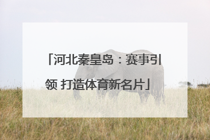 河北秦皇岛：赛事引领 打造体育新名片