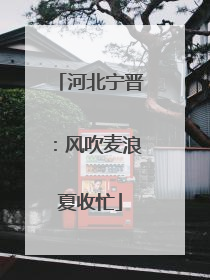 河北宁晋：风吹麦浪夏收忙