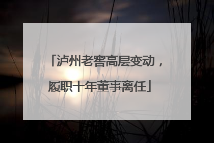 泸州老窖高层变动，履职十年董事离任
